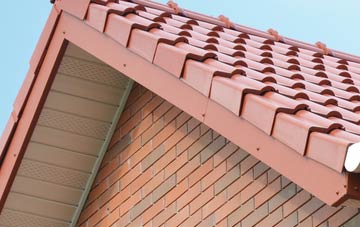 Carneatly fascia repair quotes