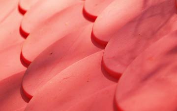 Carneatly plastic roof costs