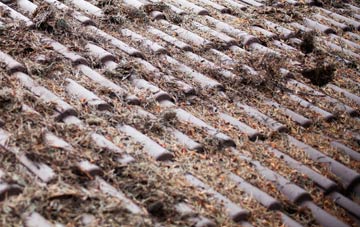 Carneatly roof cleaning companies