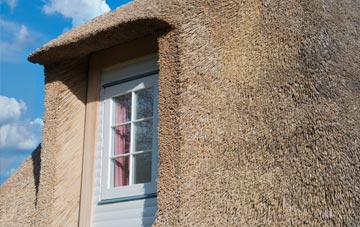 Carneatly thatch roof disadvantages