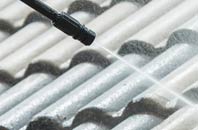 rated Carneatly roof cleaning companies